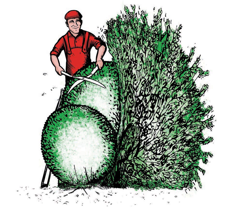 Hedge Pruning